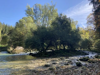 Eine Pause in der Nähe der Source de l'Ain auf der Via Cluny