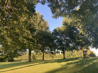 Heart between the trees in the park of the gîte le Benouchon