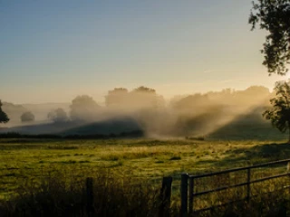 Morgennebel über den Feldern neben der Ferienwohnung Le Benouchon
