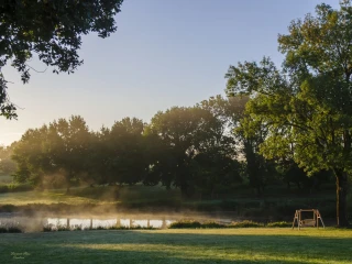 Morgennebel über dem Benouchon Weiher