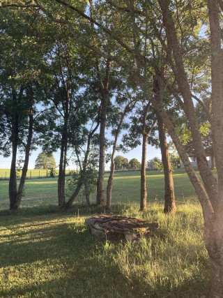 Steinbank unter den Bäumen im Benouchon Park