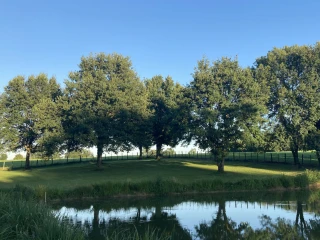 Relaxing park with a large pond at the gîte le Benouchon avec étang