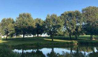 Großer entspannender Benouchon Park mit Weiher